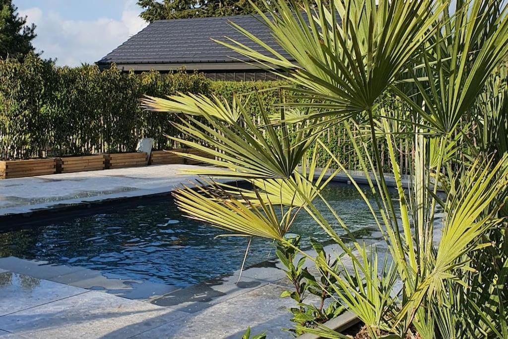 Pine Cottage- 5 Minutes Francorchamps - Charme -Piscine-Calme-Jardin Sart  Luaran gambar